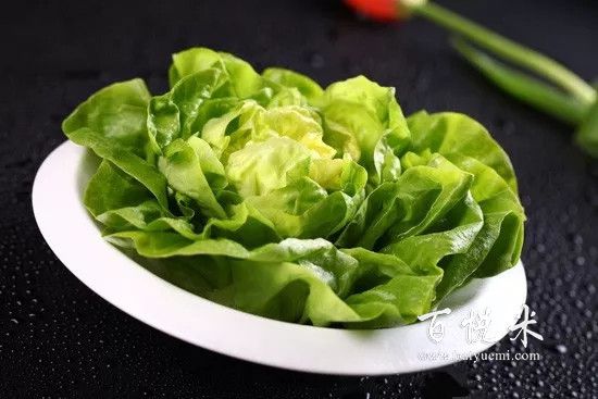 盤點最全做沙拉用到的蔬菜,這些蔬菜你都見過嗎?